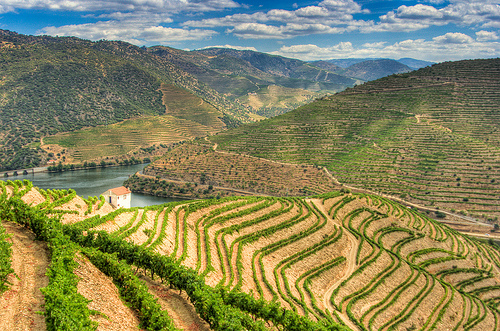 Douro